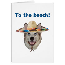 To The Beach Dog
