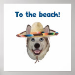 To The Beach Dog posters