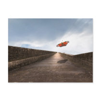To the light card postcards
