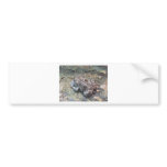 toad 2 bumper stickers
