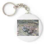 toad 2 keychains