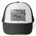 toad,baby hats