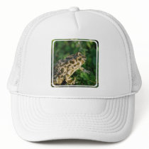 Toad Baseball Hat