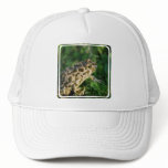 Toad Baseball Hat
