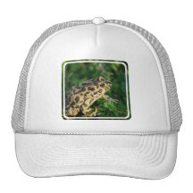 Toad Baseball Hat
