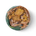 Toad buttons