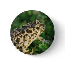 Toad Button