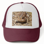 Toad Cap hats