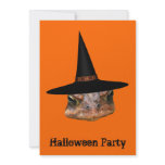 Toad Face Witch Hat Halloween Invitation