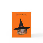 Toad Face Witch Hat Halloween Party Invitation cards