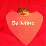 Toad frog holding a heart that says Be Mine ? photo sculptures