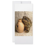 Toad frog holding miniature udu photograph rack cards