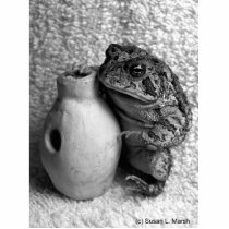 Toad frog holding udu percussion photograph