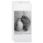 Toad frog holding udu percussion photograph rack cards