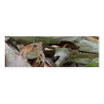Toad Frog Mini Bookmark business cards