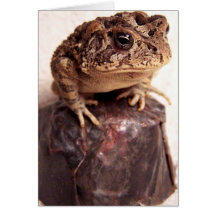Toad frog on hand hammered copper cup photo card