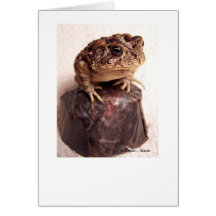 Toad frog on hand hammered copper cup photo greeting cards