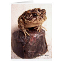 Toad frog on hand hammered copper cup photo greeting card