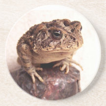 Toad frog on hand hammered copper cup photo coasters