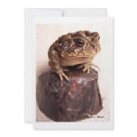 Toad frog on hand hammered copper cup photo invitations