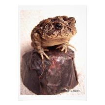 Toad frog on hand hammered copper cup photo personalized announcements