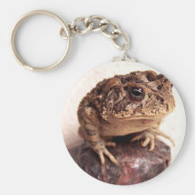 Toad frog on hand hammered copper cup photo key chains
