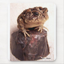 Toad frog on hand hammered copper cup photo mousepad
