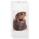 Toad frog on hand hammered copper cup photo rack cards