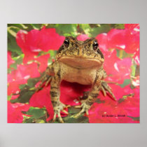 Toad frog standing up against bougainvillea back