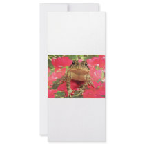 Toad frog standing up against bougainvillea back
