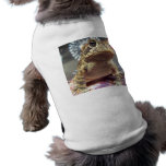Toad frog standing up against firework background pet clothing