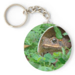 Toad hole keychains