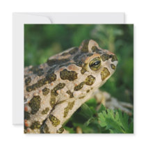 Toad Invitations