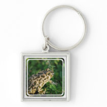 Toad  Keychain
