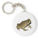 Toad keychains