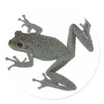 Toad Pet stickers