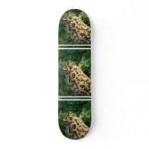 Toad  Skateboard