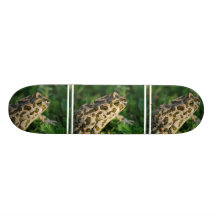 Toad  Skateboard