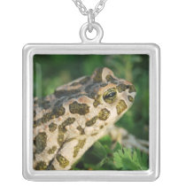 Toad  Sterling Silver Necklace