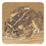 Toad Sticker!