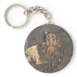 Toadlet keychains