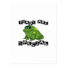 Toads Are Special Post Card