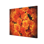 Toasted Orange Chrysanthemums Stretched Canvas Print