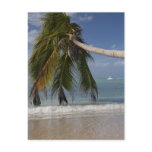 Tobago_-1926 postcards