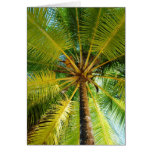 Tobago - island paradise cards
