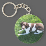Toby keychains