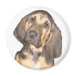 Toby magnets