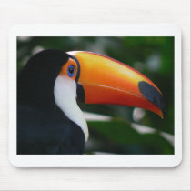 Toco_toucan_Parque_das_Aves Mousepad