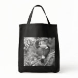 TOCO TOUCAN PHOTO BLACK AND WHITE bags
