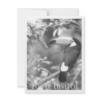 TOCO TOUCAN PHOTO BLACK AND WHITE